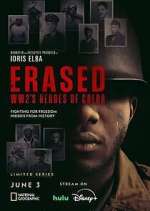 Watch Erased: WW2's Heroes of Color Megashare8
