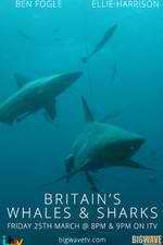 Watch Britain's Whales and Sharks Megashare8
