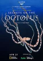 Watch Secrets of the Octopus Megashare8
