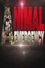 Watch Animal Emergency Megashare8