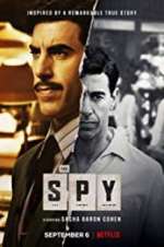 Watch The Spy Megashare8