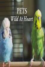 Watch Pets - Wild at Heart Megashare8