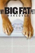 Watch My Big Fat Pet Makeover Megashare8