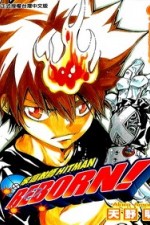 Watch Katei Kyoshi Hitman Reborn Megashare8