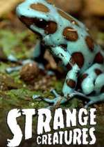 Watch Strange Creatures Megashare8