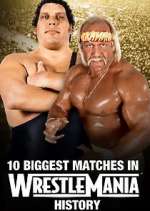 Watch The Best of WWE Megashare8