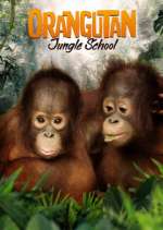 Watch Orangutan Jungle School Megashare8