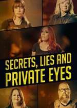 Watch Secrets, Lies and Private Eyes Megashare8