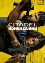 Citadel: Honey Bunny megashare8