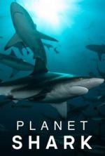 Watch Planet Shark Megashare8