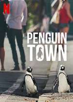 Watch Penguin Town Megashare8