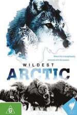 Watch Wildest Arctic Megashare8