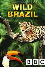 Watch Wild Brazil Megashare8