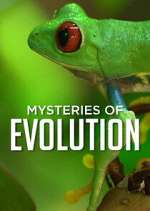 Watch Mysteries of Evolution Megashare8