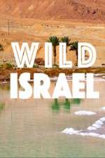 Watch Wild Israel Megashare8