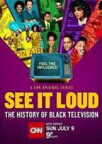 Watch See It Loud: The History of Black Television Megashare8