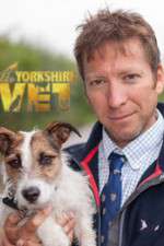 Watch The Yorkshire Vet Megashare8