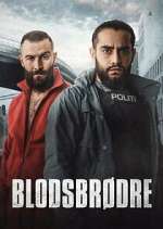 Watch Blodsbrødre Megashare8