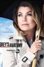 Watch Grey's Anatomy Megashare8