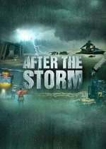 Watch After the Storm Megashare8