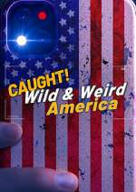 Watch Wild & Weird America Megashare8