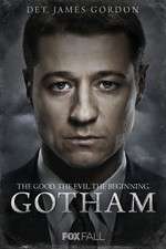 Watch Gotham Megashare8