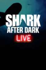 Watch Shark After Dark Megashare8