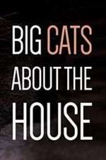 Watch Big Cats About the House Megashare8