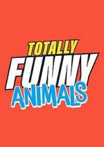 Watch Totally Funny Animals Megashare8