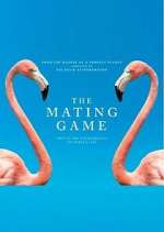 Watch The Mating Game Megashare8