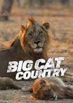 Watch Big Cat Country Megashare8