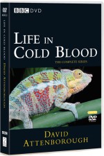 Watch Life in Cold Blood Megashare8