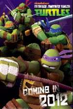 Watch Teenage Mutant Ninja Turtles Megashare8