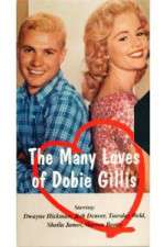 Watch The Many Loves of Dobie Gillis Megashare8
