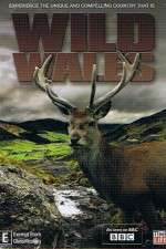 Watch Wild Wales Megashare8