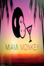 Watch Miami Monkey Megashare8