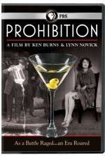 Watch Prohibition Megashare8