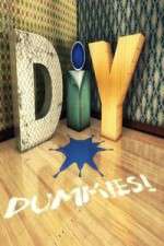 Watch DIY Dummies Megashare8