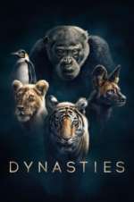 Watch Dynasties Megashare8