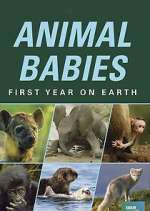 Watch Animal Babies: First Year on Earth Megashare8