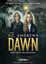 Watch V.C. Andrews' Dawn Megashare8