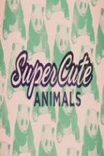 Watch Super Cute Animals Megashare8