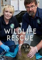 Watch Wildlife Rescue Megashare8