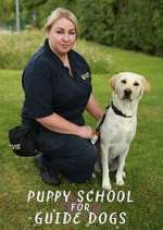 Watch Puppy School for Guide Dogs Megashare8