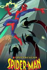 Watch The Spectacular Spider-Man Megashare8