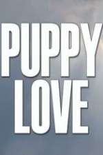 Watch Puppy Love Megashare8