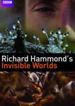 Watch Richard Hammond's Invisible Worlds Megashare8
