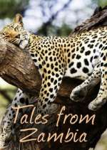 Watch Tales from Zambia Megashare8