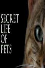 Watch The Secret Life of Pets Megashare8