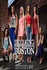 Watch Breaking Boston Megashare8
